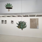 thumbnail Detail view - click for plan